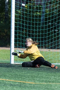 Bild 95 - B-Juniorinnen SV Henstedt Ulzburg - SG Weststeinburg : Ergebnis: 4:0